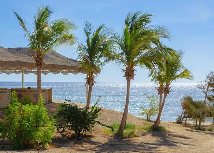 Mangrove Bay 3*