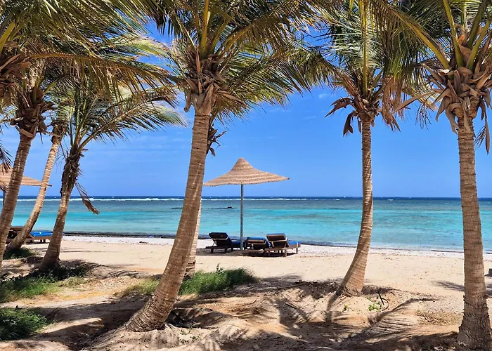 Mangrove Bay 3* Kuszeir