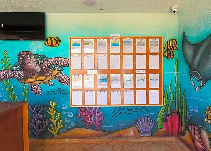 Mangrove Bay Kuszeir