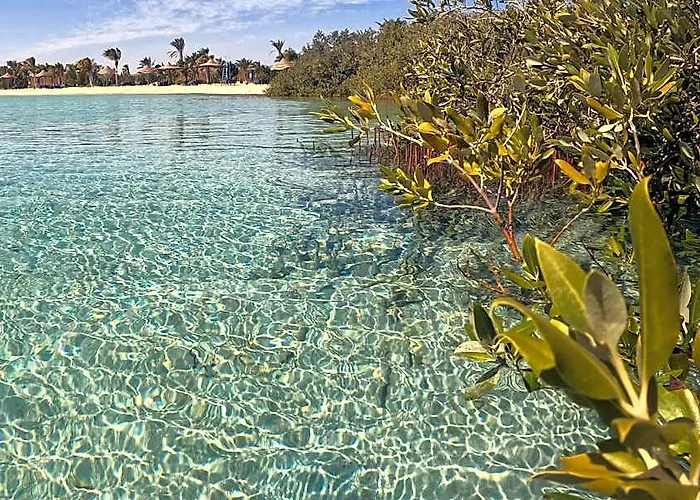 Üdülőközpont Mangrove Bay
