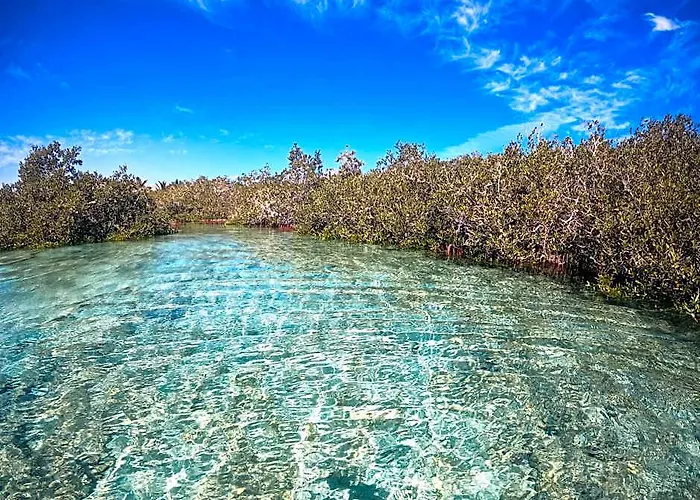 Mangrove Bay Kuszeir