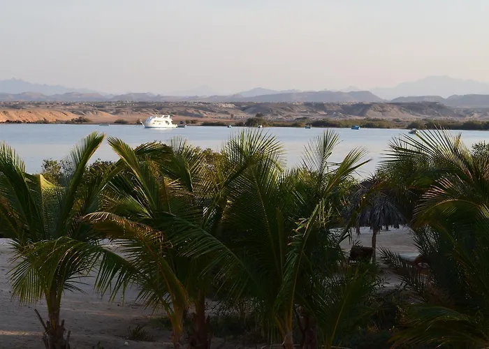 Mangrove Bay